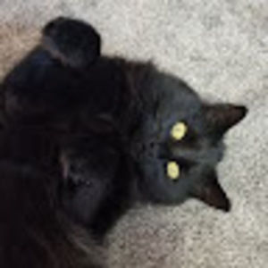 Meet your Posher, Gatcha